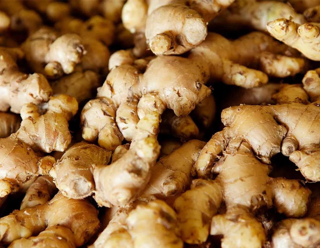 Ginger & Ginger powder