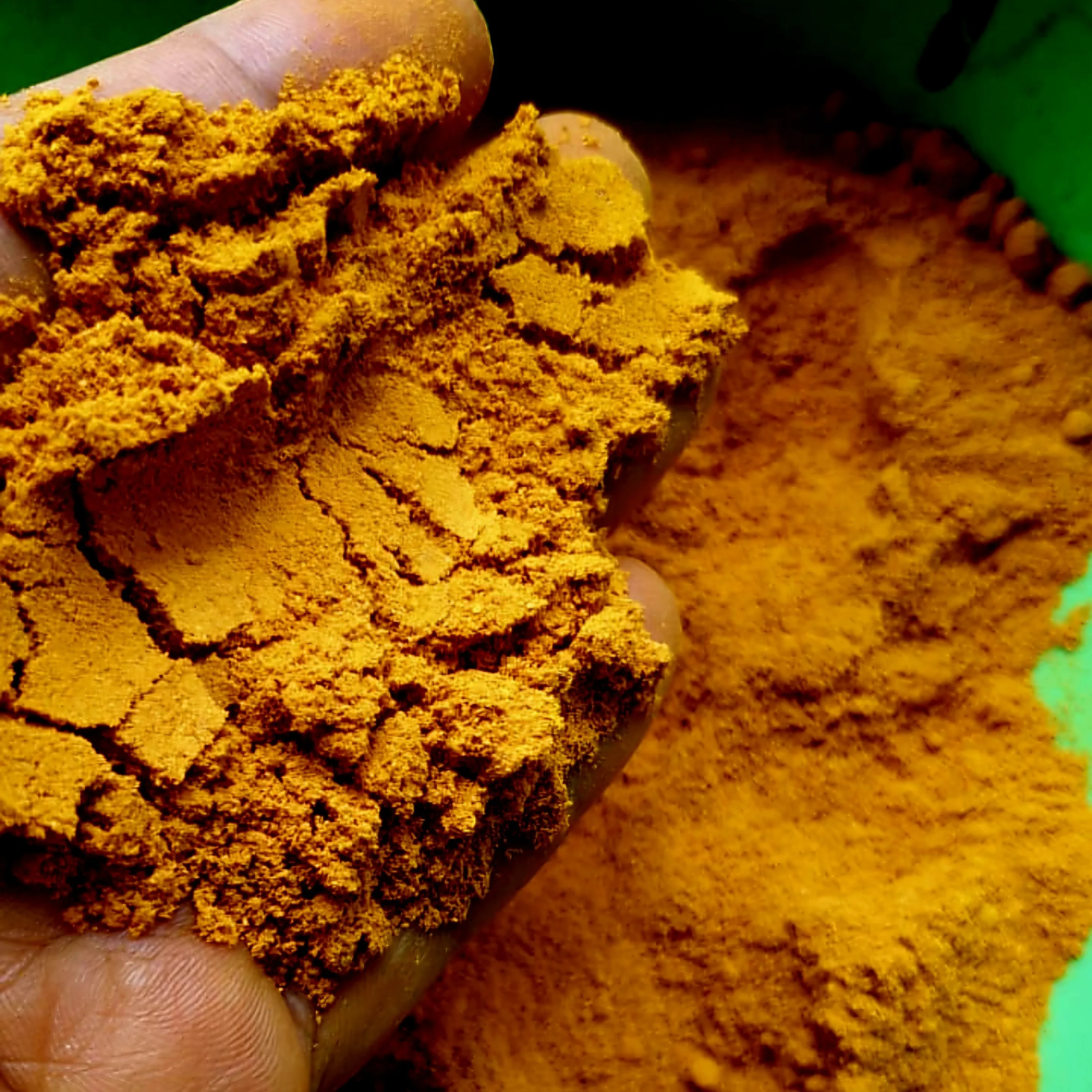 Turmeric & Turmeric Powder